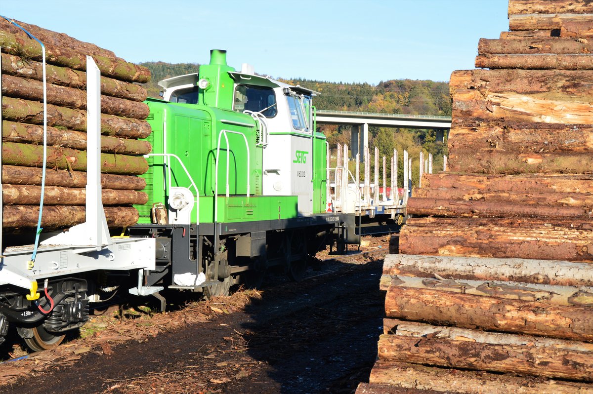Am 06.11.2020 wartet V60.02 der SETG im Ladegleis in Arnsberg auf die Beladung des Holzzuges.