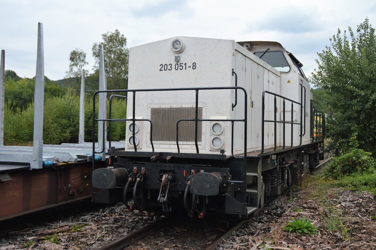 Am 15.08.2018 steht die PRESS 203 051-8 (92 80 1203 535-0 PRESS) mit einem leeren Holzzug an der Verladestelle in Arnsberg.
