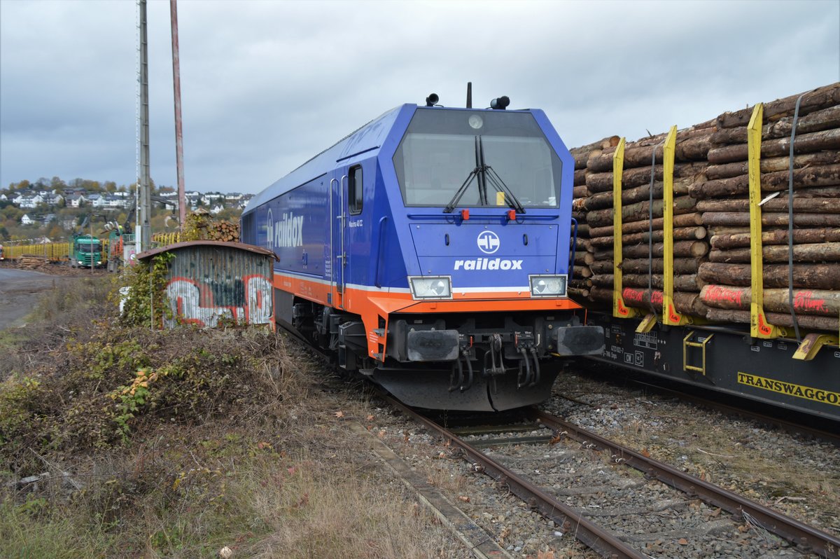 Holzverladung am Bahnhof Arnsberg am 12.11.2019 mit der Raildox Voith Maxima 40CC (9280 1264 002-7 D-RDX)