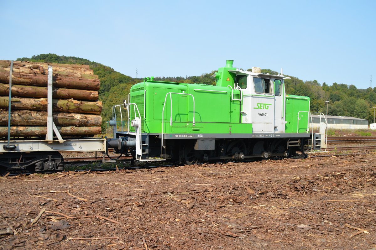 SETG V60.01 (9880 3 361 234-8 D-SRA) wartet am 11.09.2020 mit einem Holzzug an der Holzverladung in Arnsberg.
