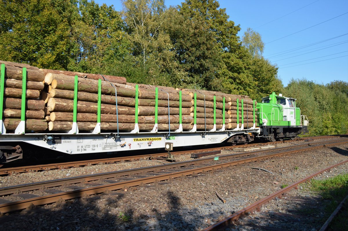 SETG V60.02 setzt hier den 2. Teil des Holzzuges um und schiebt die Wagen auf Gleis 3 im Bahnhof Arnsberg. Foto: 15.09.2020