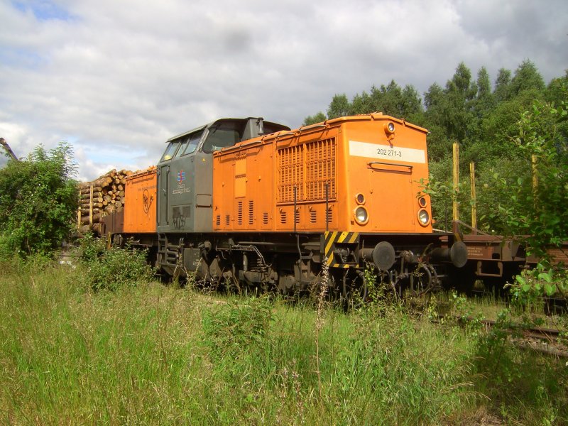 Die 202 271-3 der Bocholter Eisenbahn am 04.06.09 wieder bei der Holzverladung in Arnsberg.