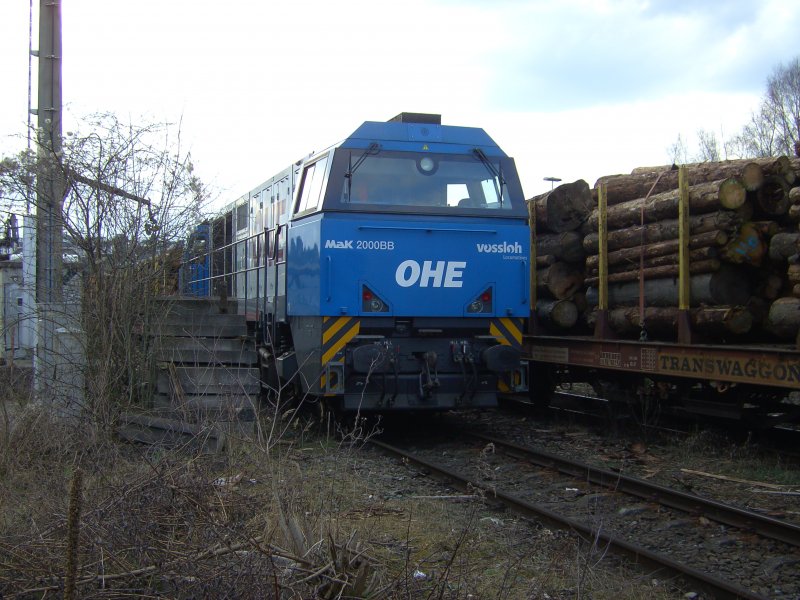 Mak 2000BB der OHE wartet auf die Beladung des Holzzuges. (30.03.09)