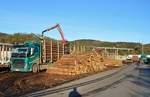 Holzverladung im Bahnhof Arnsberg am 06.11.2020 mit V60.02 der SETG.